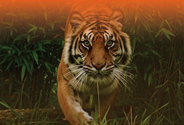 Waking the tiger by Peter A. Levine